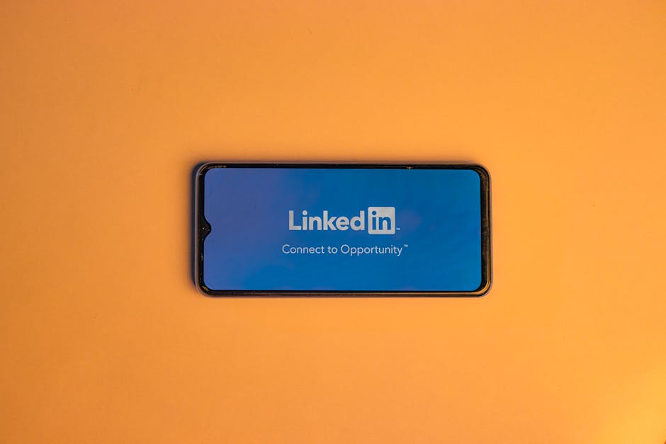 LinkedIn’de ağ kurma ve etkileşim