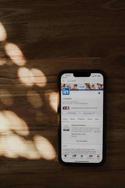 Ekip içinde LinkedIn reklam hesabı erişim yönetimi