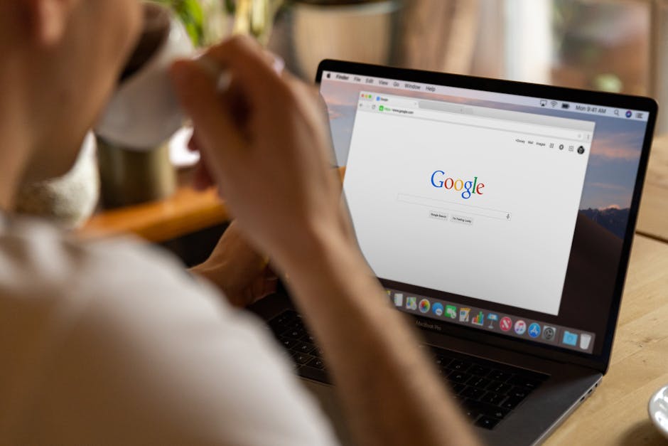 Playlist başlığı ve açıklaması için SEO notları